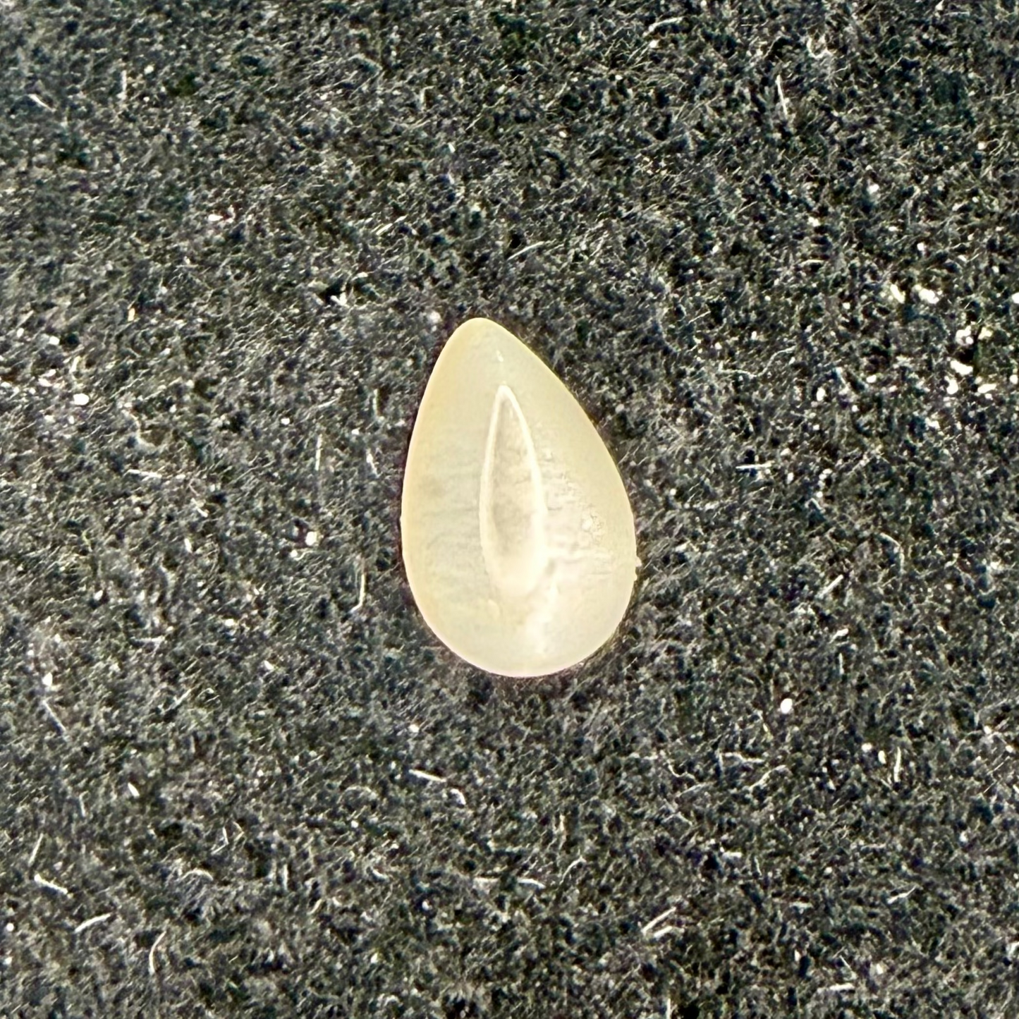 Moonstone Cabochon, 8x5 Pear Cut, Ave Ct Wt 1.03